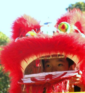 Chinese Lion Dancer